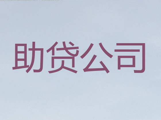 阜新贷款公司
